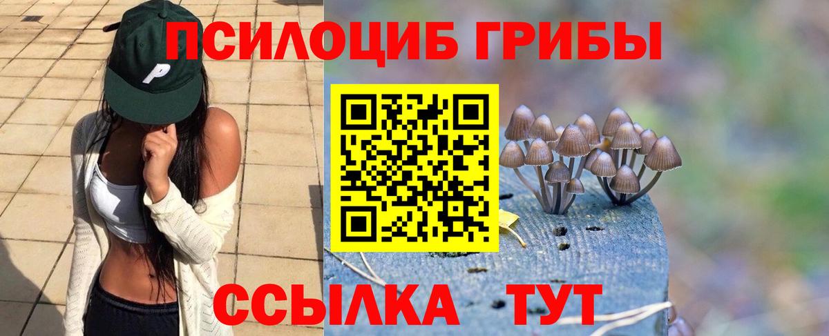 Асбест  Псилоцибиновые грибы Cubensis  Вход с VPN 
